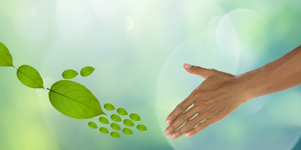 Why Choosing Eco-Friendly Everyday Products Matters More Than Ever