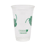 Compostable Cold Cups (20 oz.) - Leak Proof - Heavy Duty - Plant-Based