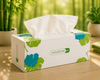 2-Ply Bamboo Facial Tissues – Soft & Sustainable for Sensitive Skin