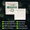 Eco-Friendly 125 PACK 10” Inch Square Bamboo Plates – Compostable & Sustainable