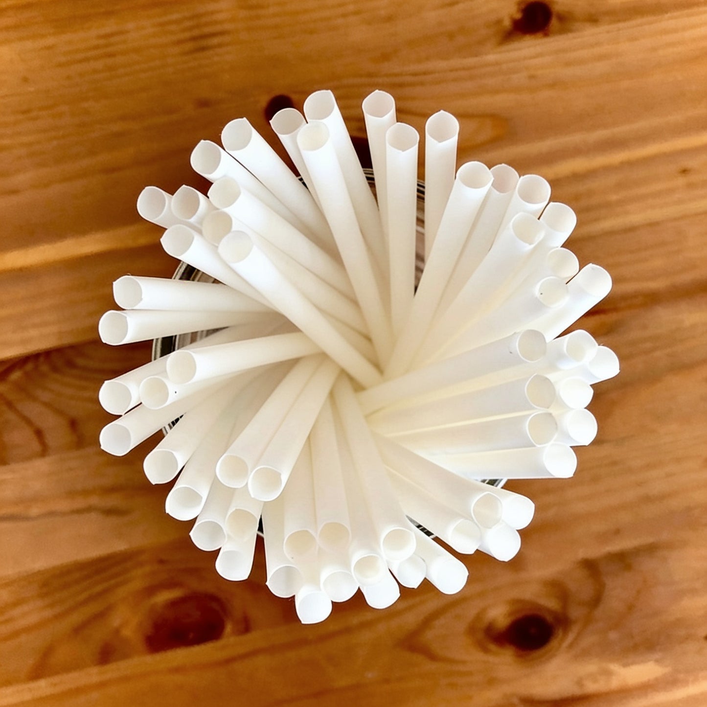 Eco-Friendly 50 PACK Compostable Flexible Straws – Compostable & Sustainable