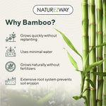 Eco-Friendly Bamboo Bath Tissue - 24 Rolls, 2-Ply | Soft, Strong, Sustainable Toilet Paper