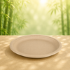 Eco-Friendly 20 PACK 12" Inch Bamboo Oval Platters – Compostable & Sustainable
