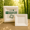 Eco-Friendly 125 PACK 10” Inch Square Bamboo Plates – Compostable & Sustainable