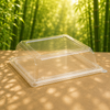 Eco-Friendly 125 Pack To Go Clear Lids for 6" Square Plates – Compostable & Sustainable