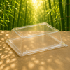 Eco-Friendly 250 Pack To Go Clear Lids for 10" Square Plates – Compostable & Sustainable